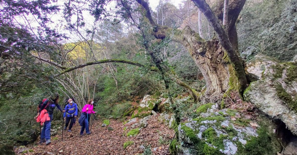 Ruta guiada de senderismo en la Tinena de Benifass