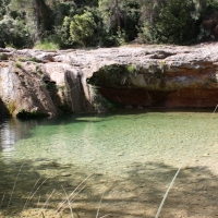 lbum: Toll del Vidre - Mas de Pau (Arnes)