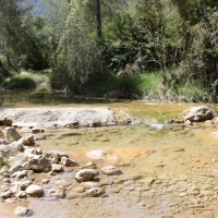 lbum: Toll del Vidre - Mas de Pau (Arnes)