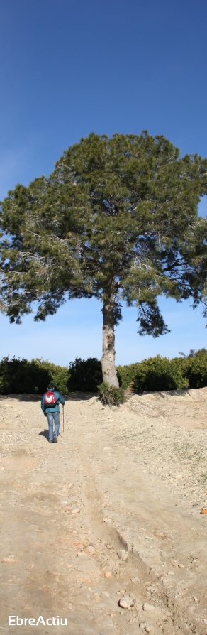 Ruta: Ermita de Solicr - Torre de Campred - Casa del Prat | EbreActiu.cat, revista digital d’oci actiu | Terres de l’Ebre ...