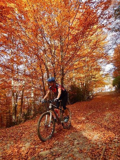 Vive La Transcatllars, una ruta en bicicleta de montaa en el Bergued | EbreActiu.cat, revista digital de ocio activo | Terres de l’Ebre...