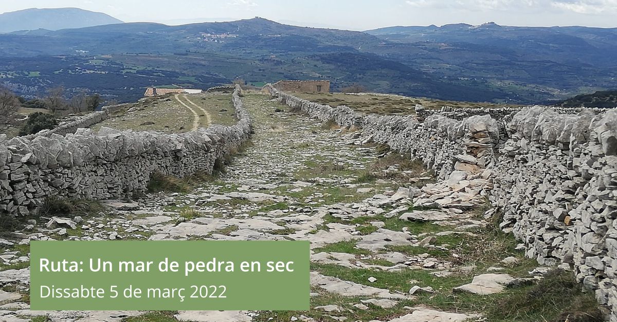 Ruta: Un mar de pedra en sec