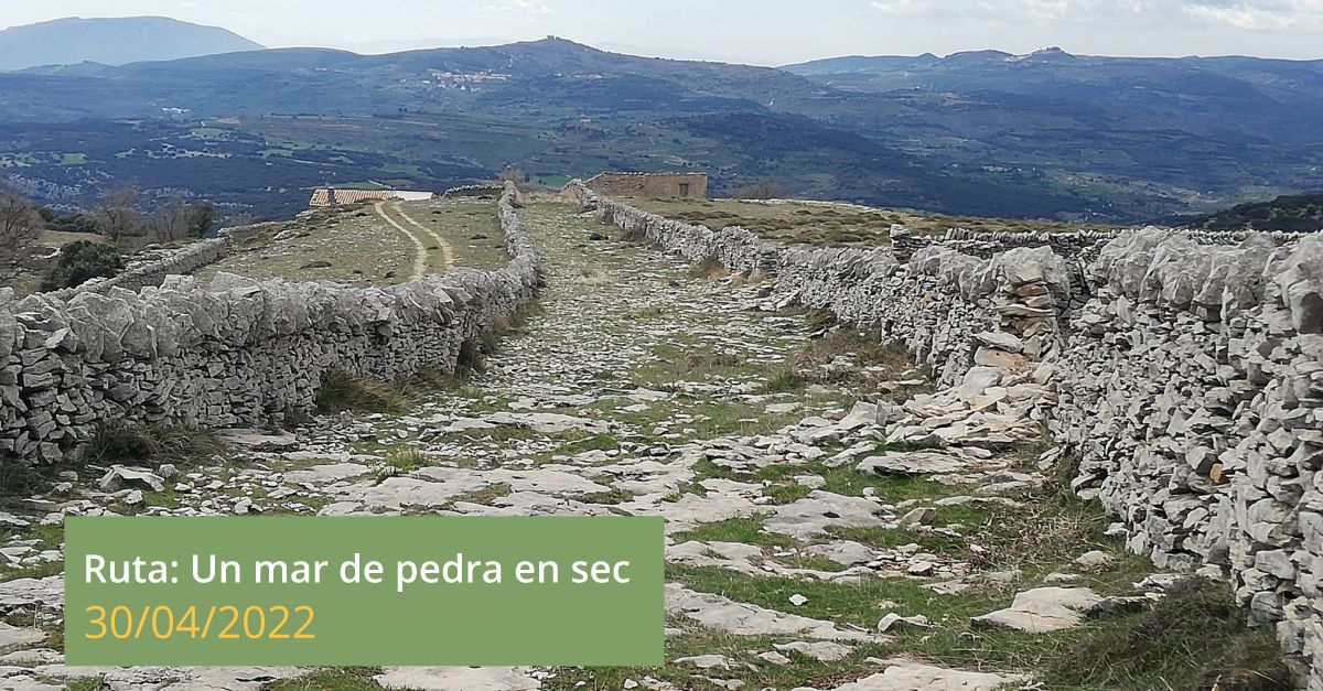 Ruta: Un mar de piedra seca