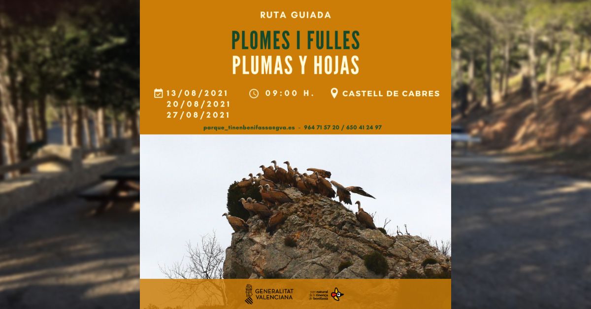 Ruta guiada Plomes i fulles a la Tinena de Benifass