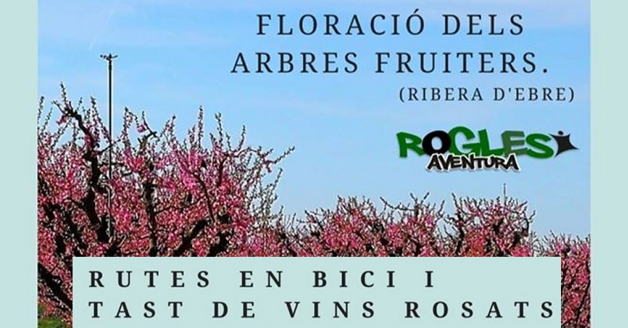 Rutes en bici i tast de vins rosats. Floraci dels arbres fruiters