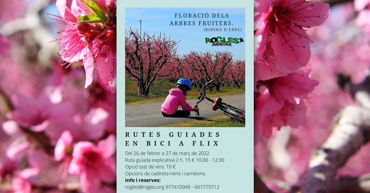 Rutas guiadas en bici a Flix para disfrutar de la floracin de los frutales