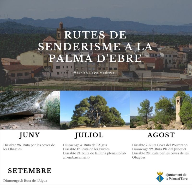 Ruta de la lluna plena (tomb a l’embassament de la Palma d’Ebre)