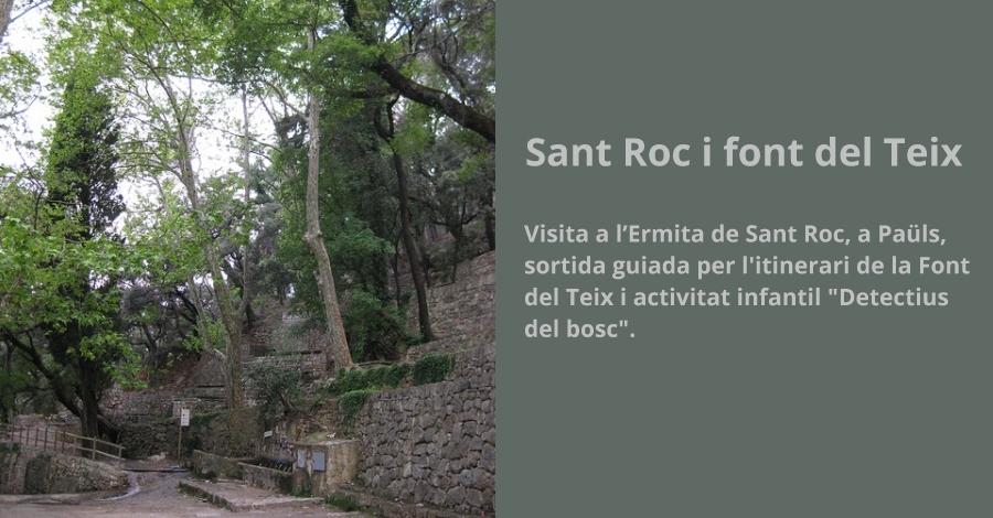 Sant Roc i Font del Teix