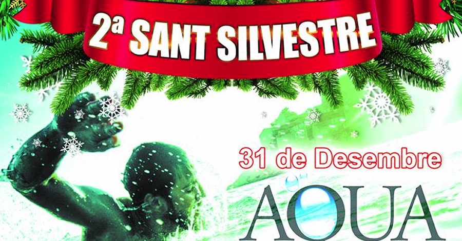 2a Sant Silvestre a Nado pel riu Ebre