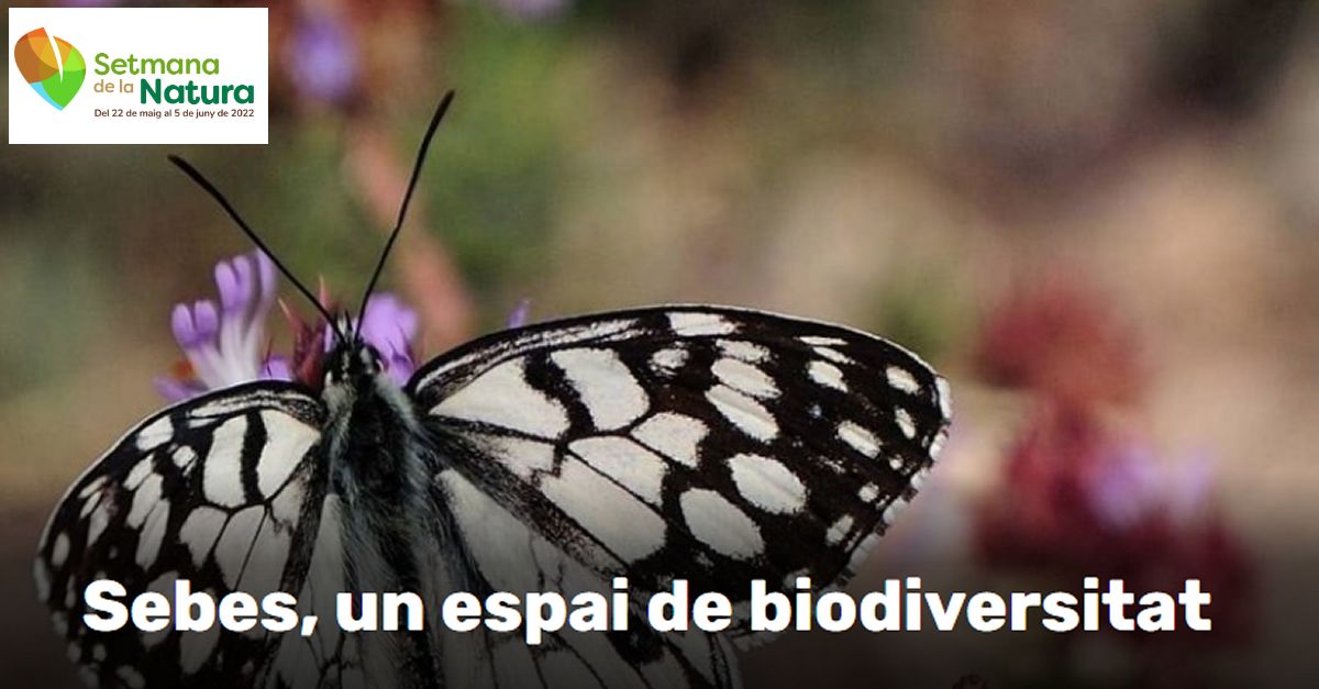 Setmana de la Natura: Charla: Sebes, un espai de biodiversitat