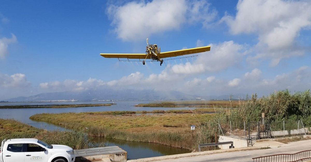 El COPATE far aquesta setmana el segon tractament per combatre les larves de mosquit en arrossars | EbreActiu.cat, revista digital d’oci actiu | Terres de l’Ebre ...