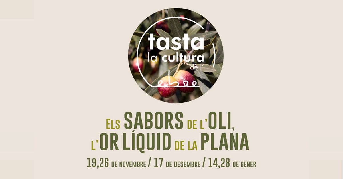 Tasta la cultura de lEbre. Los sabores del aceite de oliva, el oro lquido de la Plana