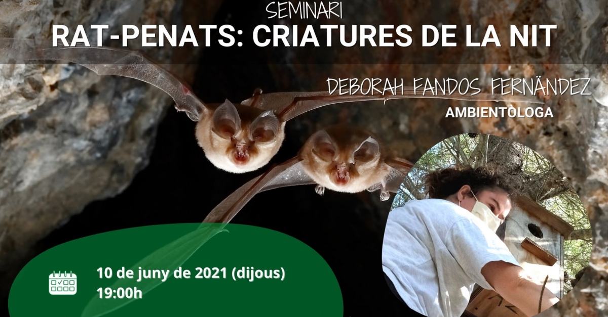 Seminari: Ratpenats, criatures de la nit