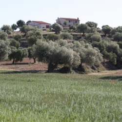 Senderisme a Asc, a la Ribera d’Ebre