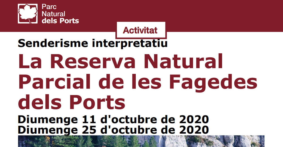 La Reserva Natural Parcial de les Fagedes dels Ports (complert)