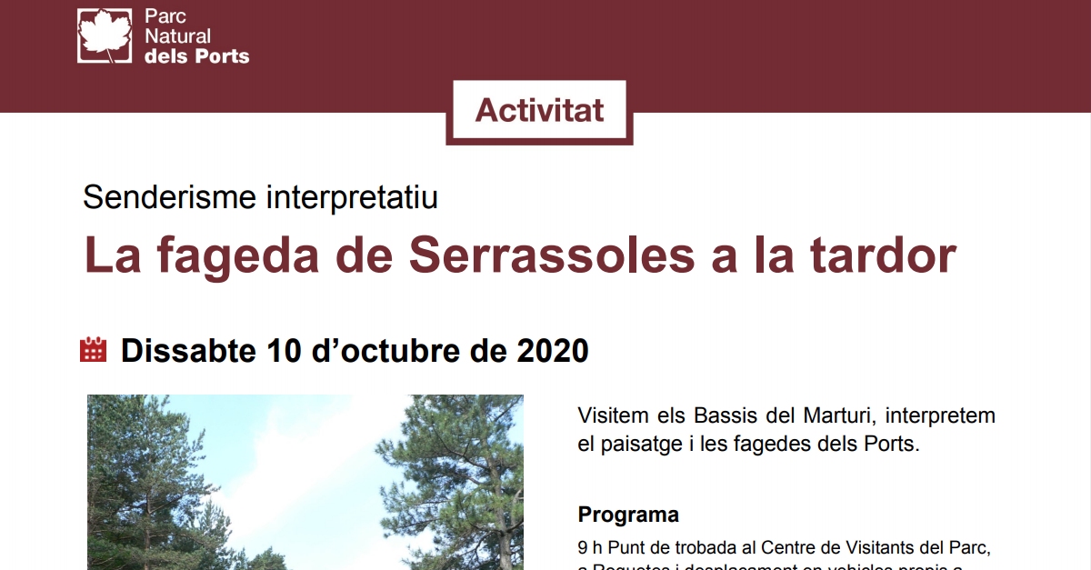 Senderisme interpretatiu: La fageda de Serrassoles a la tardor