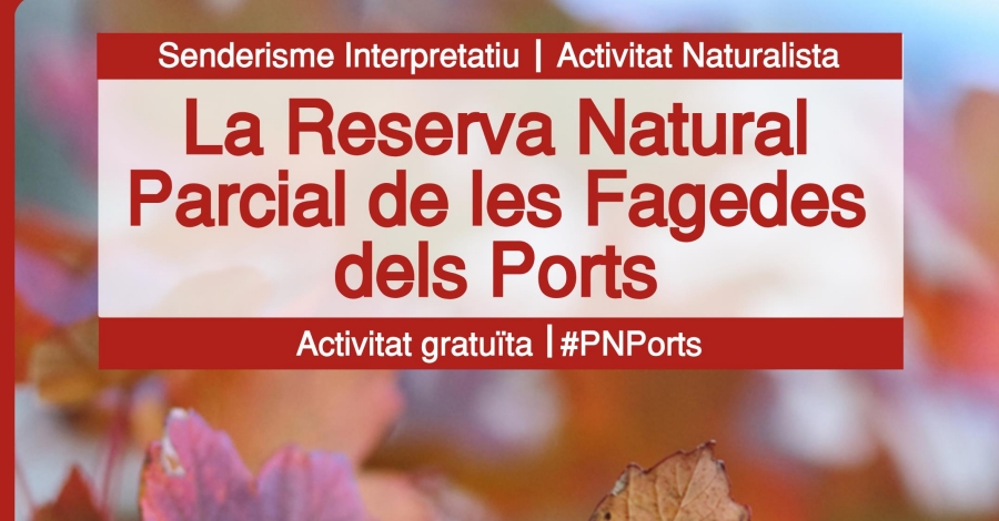 La Reserva Natural Parcial de les Fagedes dels Ports