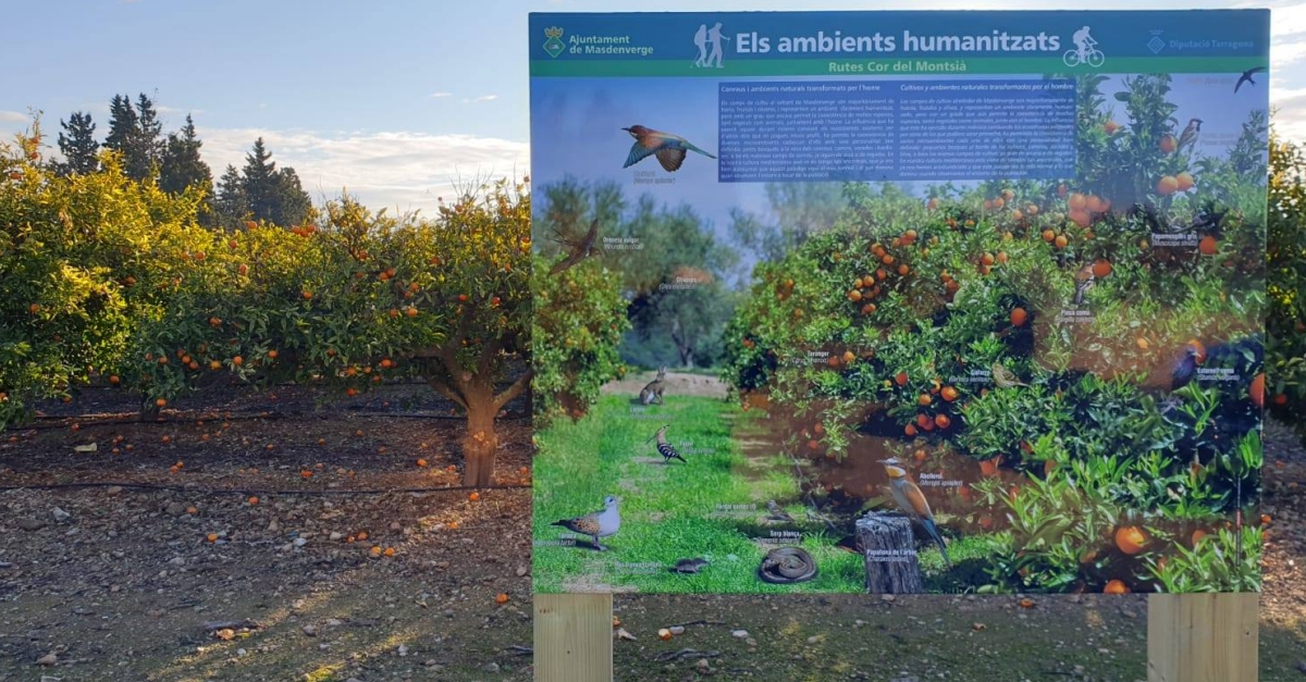 Masdenverge senyalitza tres rutes turstiques del terme municipal | EbreActiu.cat, revista digital d’oci actiu | Terres de l’Ebre ...