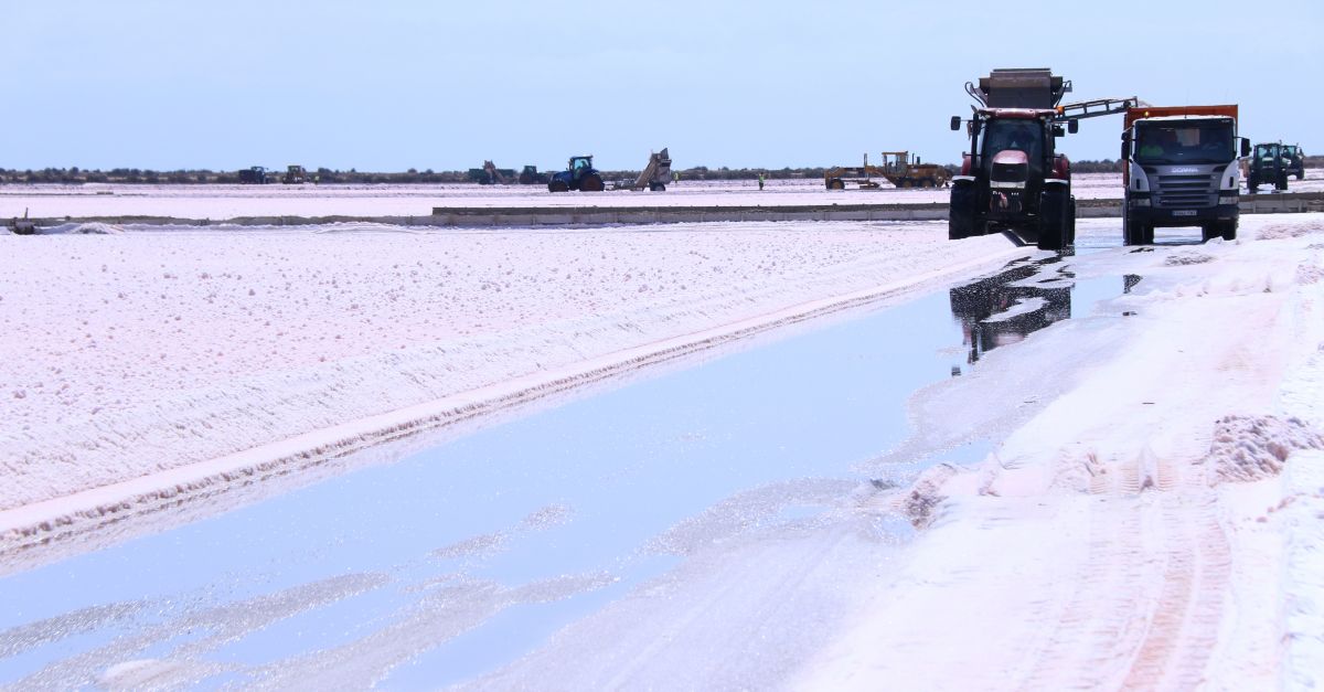 La sequera beneficia la collita de sal del delta de l’Ebre, que podria arribar a les 120.000 tones | EbreActiu.cat, revista digital d’oci actiu | Terres de l’Ebre ...