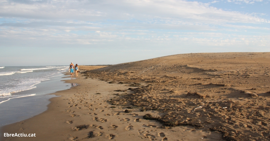 Setze platges de les Terres de l’Ebre reben el distintiu de Platges Verges | EbreActiu.cat, revista digital d’oci actiu | Terres de l’Ebre ...