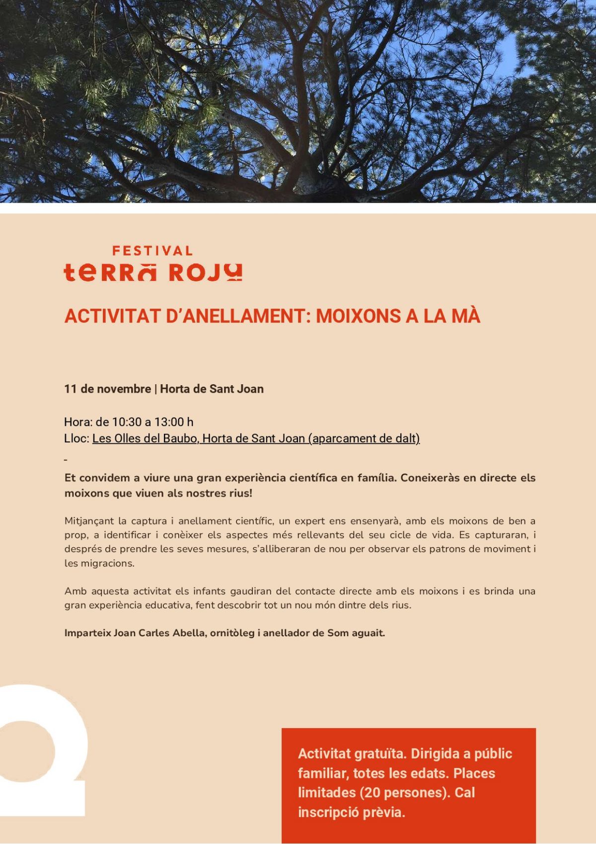 Festival Som Terra Roja. Activitat danellament: Moixons a la m 