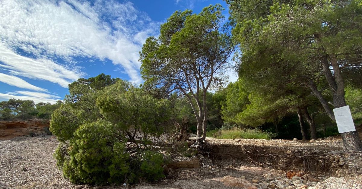 S’aportaran 1.000 m3 de sorra per regenerar els danys del temporal Nelson a les platges caleres | EbreActiu.cat, revista digital d’oci actiu | Terres de l’Ebre ...