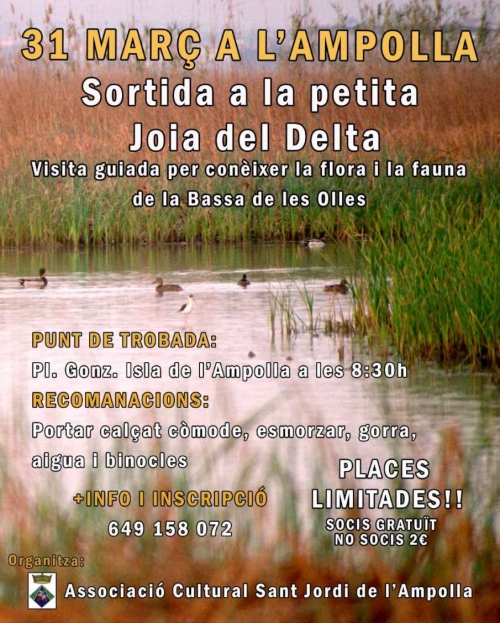 Sortida a la petita joia del delta