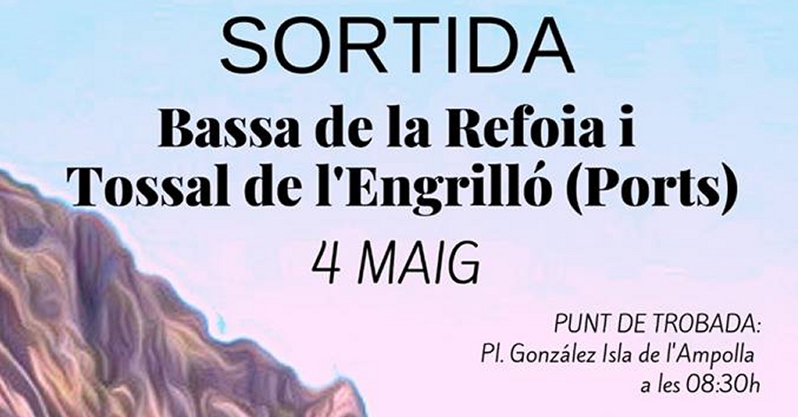 Sortida: Bassa de la Refoia i Tossal dEngrill (Els Ports)