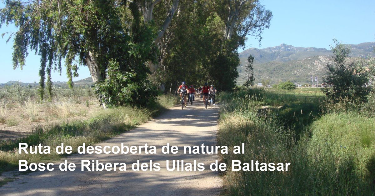 Ruta de descubierta de naturaleza al Bosque de Ribera de los Ullals de Baltasar