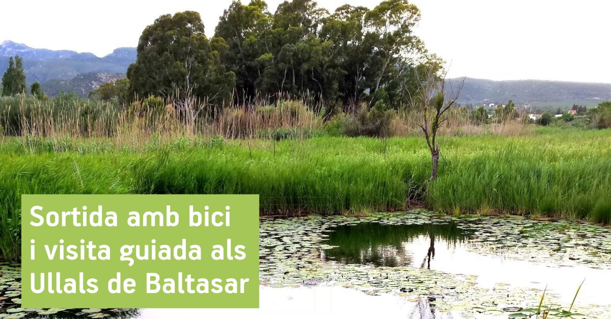 Salida en bici y visita guiada a los Ullals de Baltasar