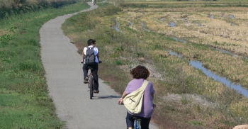 Sortida en bicicleta Els Muntells-Bassa de la Tancada