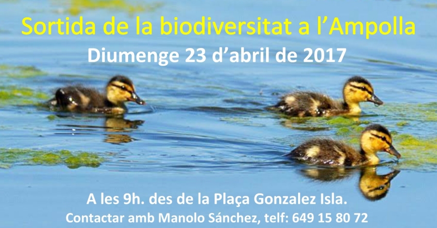 Sortida de la biodiversitat a lAmpolla