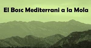 Sortida: El Bosc Mediterrani a la Mola