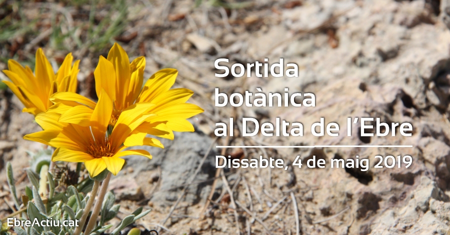 Salida botnica al Delta de lEbre