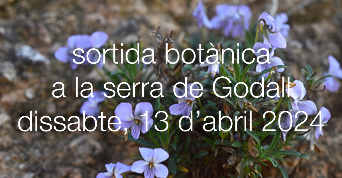 Sortida botnica a la serra de Godall