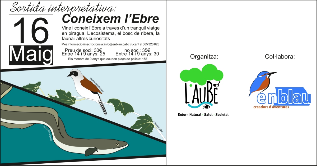 Sortida Interpretativa: Coneixem lEbre. Ruta en caiac, entre Mra dEbre i Miravet