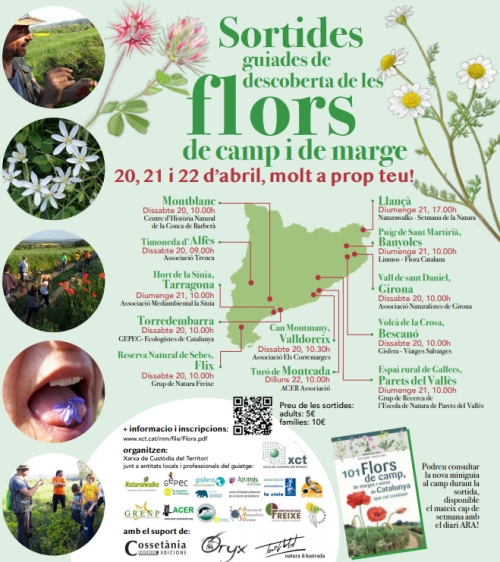 Sortida guiada de descoberta de les flors de camp i de marge