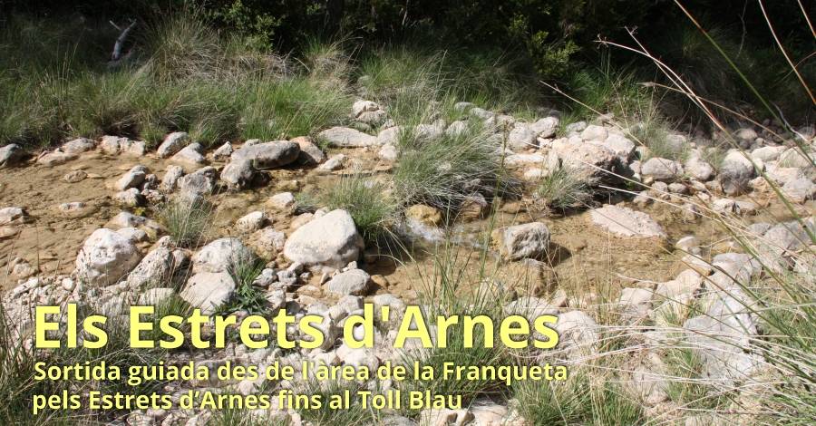 Els Estrets d’Arnes