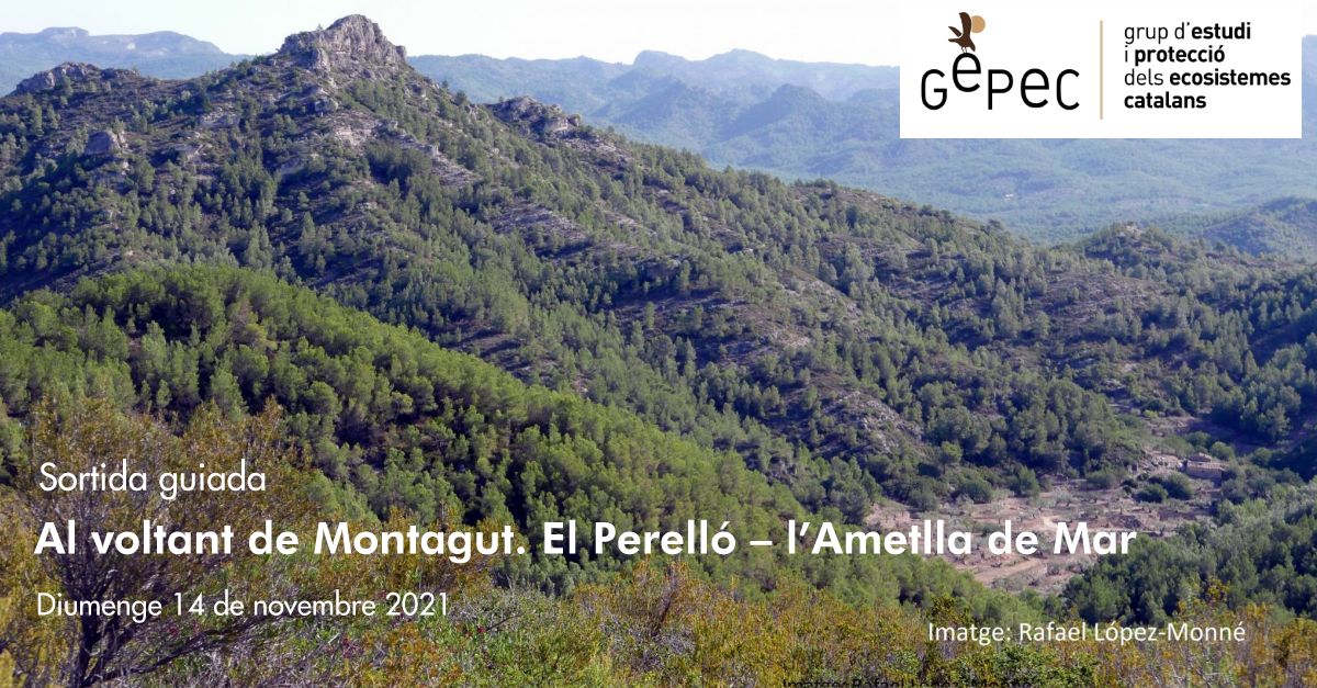 Sortida guiada: Al voltant de Montagut. El Perell  lAmetlla de Mar