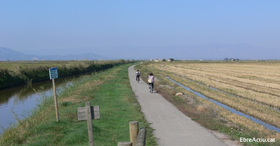 La ruta de les llacunes. Sortida en bicicleta per descobrir les basses de l’Encanyissada i la Tancada