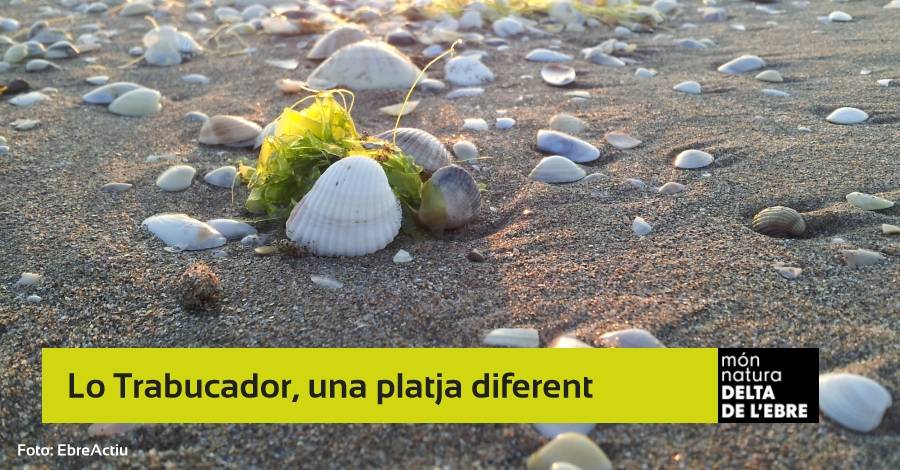 Salida: El Trabucador, una playa diferente