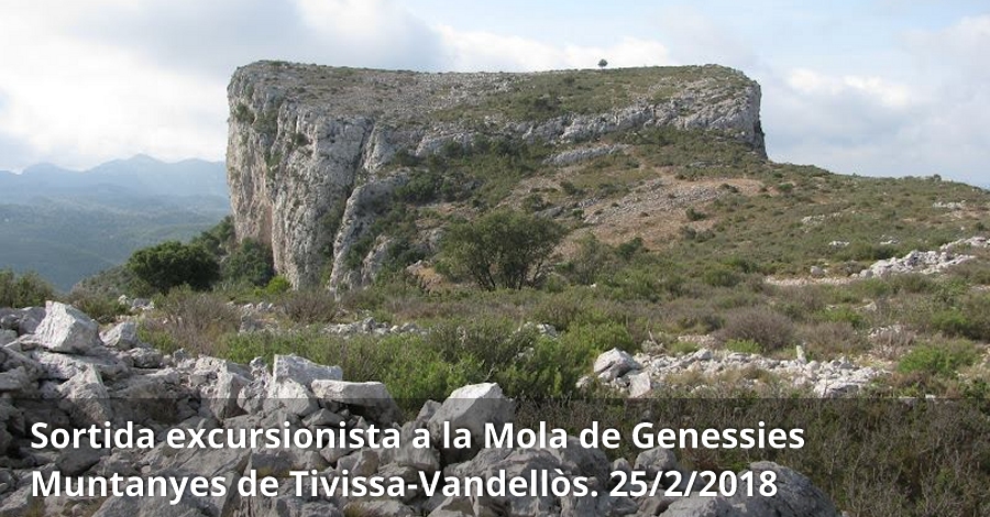 Salida excursionista a la Mola de Genessies (Muntanyes de Tivissa-Vandells)