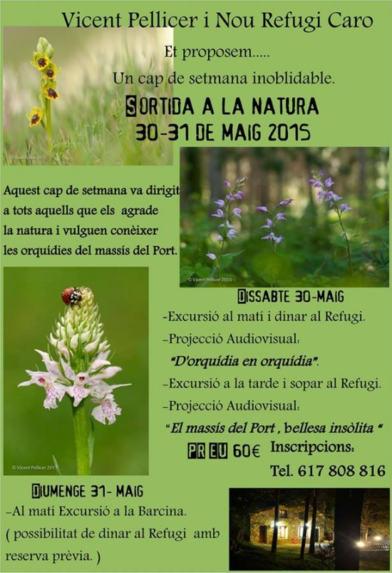 Sortida a la natura per conixer les orqudies del Port