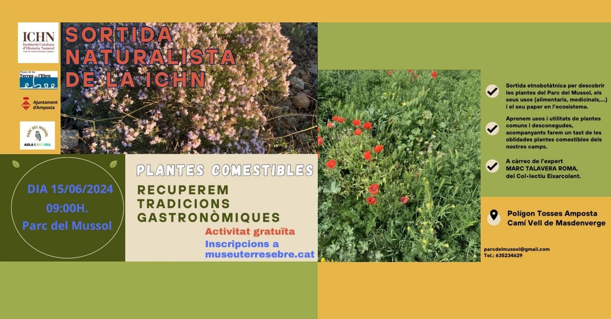 Sortida naturalista de la ICHN: plantes comestibles