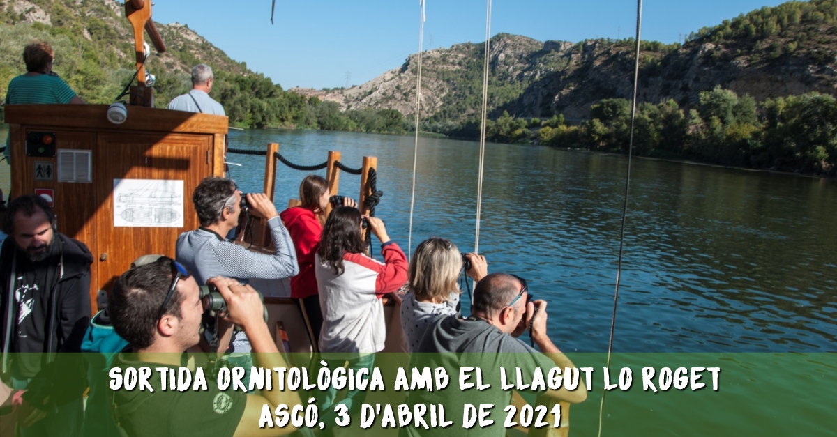 Salida ornitolgica con el llagut Lo Roget