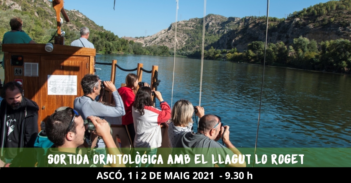 Salida ornitolgica con el llagut Lo Roget