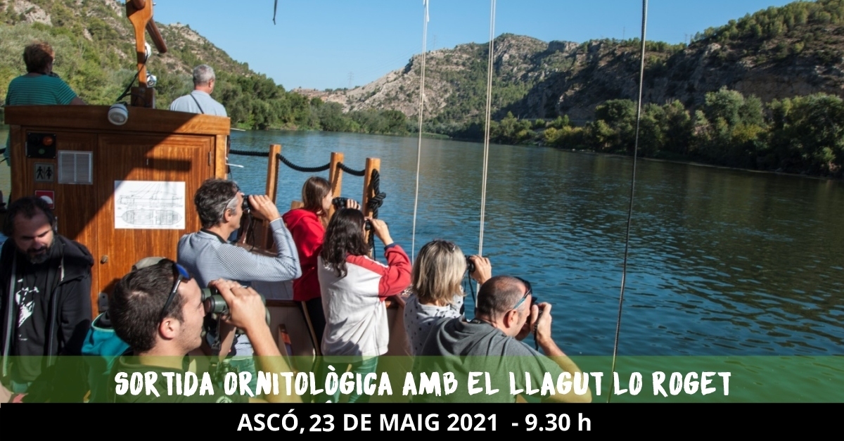 Sortida ornitològica amb el llagut Lo Roget Sortida ornitològica amb el llagut Lo Roget