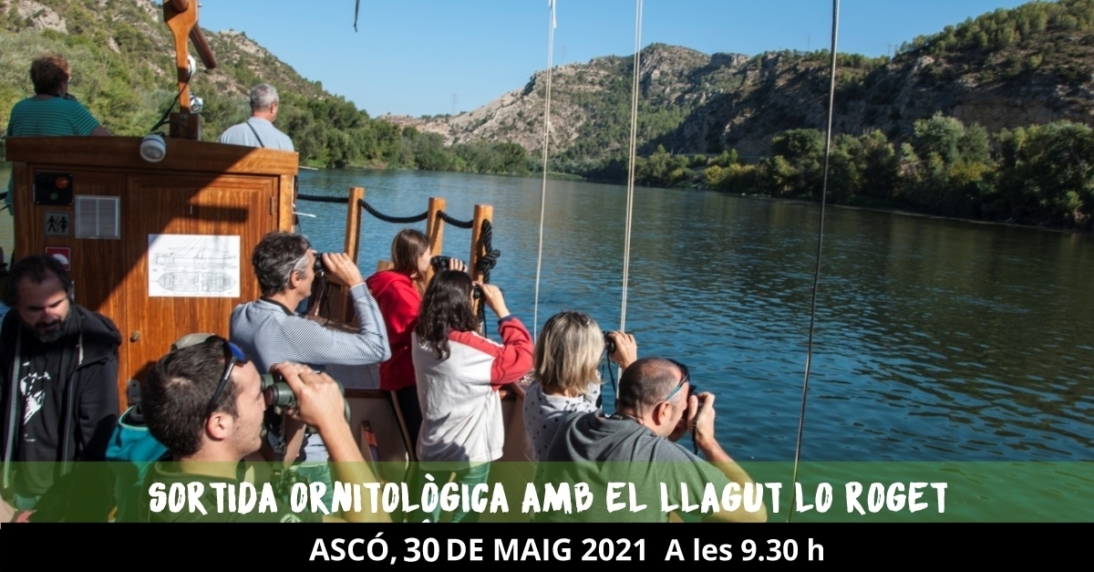 Salida ornitolgica con el llagut Lo Roget