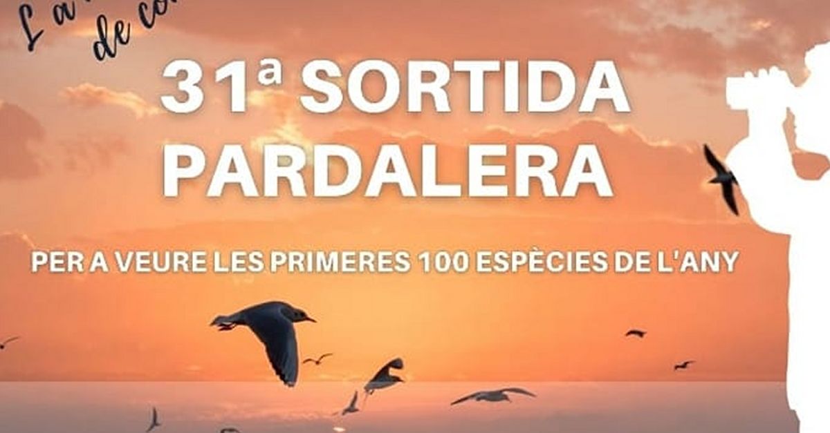 31a Sortida pardalera