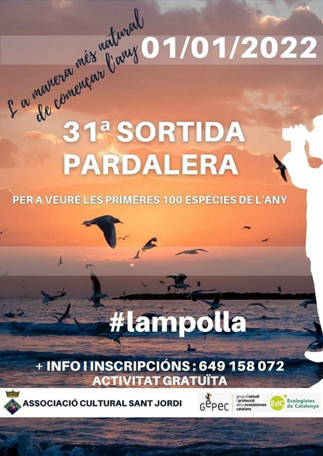 31a Sortida pardalera